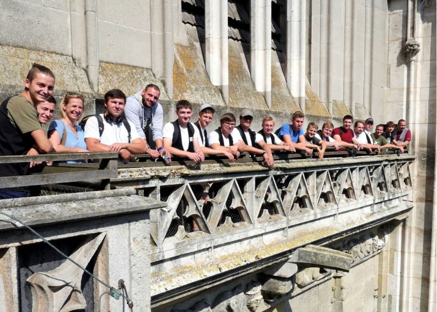 Über den Dächern Regensburgs fühlen sich die Zimmerer wohl
