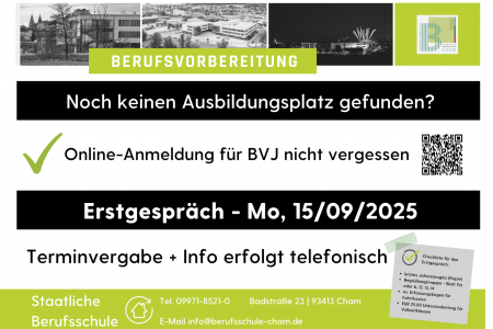 Informationen zur Anmeldung Berufsvorbereitung