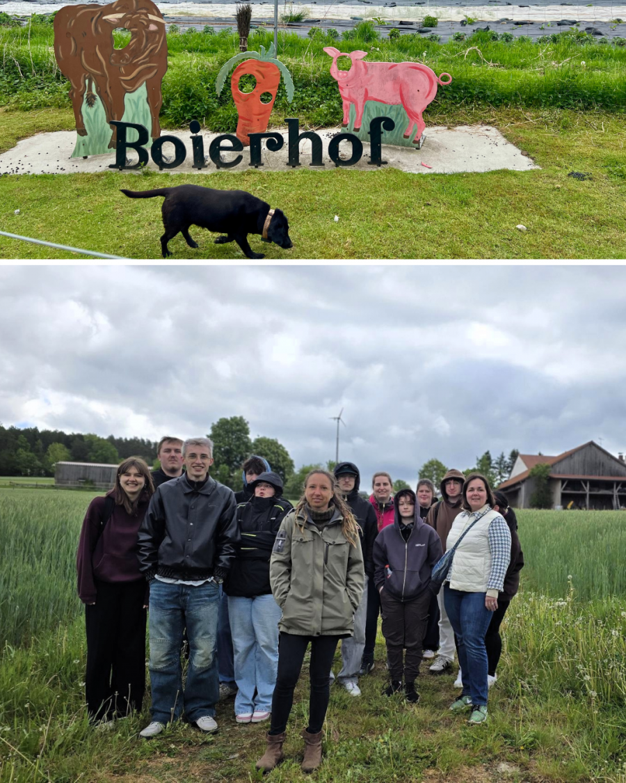 Bio, Bauernhof, Boierhof