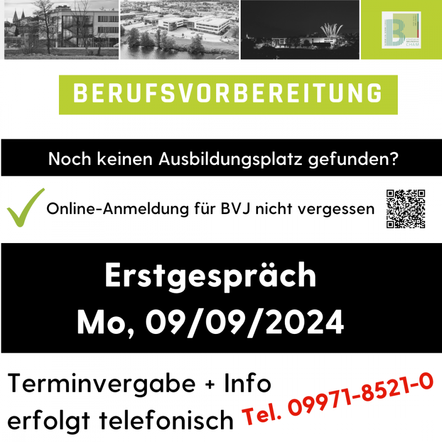 Infos zu den Berufsvorbereitungsklassen