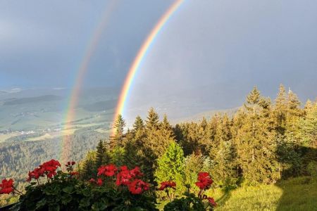 Öffnungszeiten während der Sommerferien