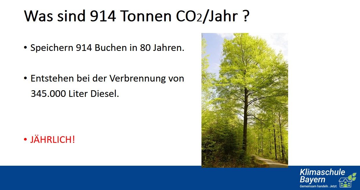 CO2-Ausstoß unseres Schulzentrums symbolisch dargestellt in Bäumen