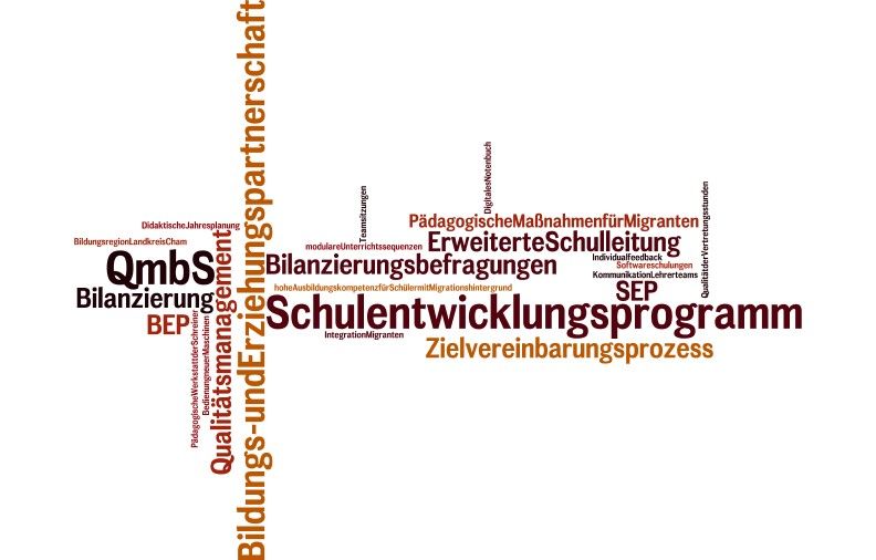 Wortcloud zum Thema QmbS und Schulentwicklung