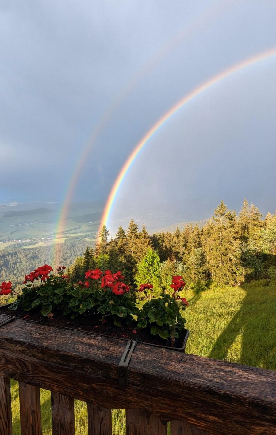 Öffnungszeiten während der Sommerferien